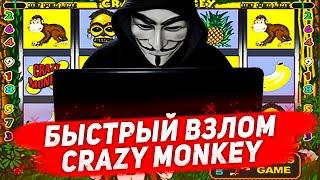 Занос недели в казино Вулкан онлайн. Как играть в игровые автоматы Crazy Monkey