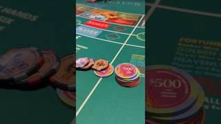 We FIRE $3k ! #baccarat #gambling #casino