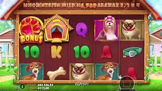 ВОТ ЭТО СТАРТ The Dog House ЛЮТО ВЫДАЛ ЗАНОС НЕДЕЛИ ДОЖИМАЮ КОНЦОВКУ get gt