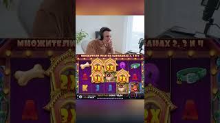 Заносы недели в Dog House игрок Нави словил линию будок #казино #занос #слоты #shorts
