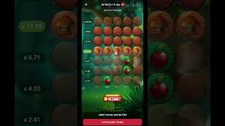 27x Apple of fortune 888starz 