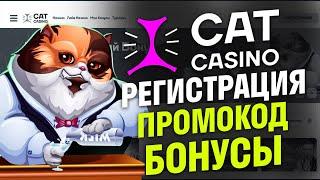 Кэт казино промокод