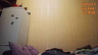 советы сказки, о бесценом, о львах )