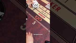 Крупная ставка на игрока: азарт или безумие?  #азарт #casino