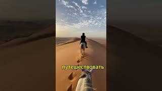 Сxem@ в тг #shorts #бизнес #мотивация #схемы #успех #занос #казино #деньги #заработок  #богатство