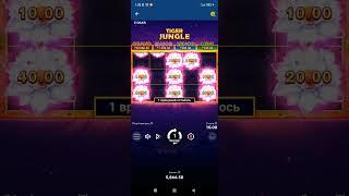 Tigre Jangle . Игры в казино на реальные деньги. Очень хорошая игра.