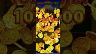 1xbet Gambling  casino slots 4 pots extra riches