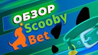 Обзор онлайн-казино ScoobyBet | Игры, бонусы для новичков и программа лояльности