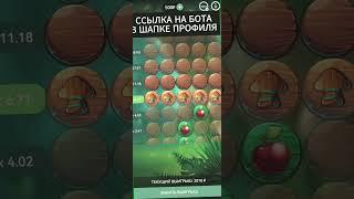 Бот в шапке профиля #shorts #1xbet #1xgames #appleoffortune