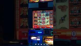 Slots with Mr. Argo