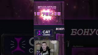 #shorts х50 000 в Cat Casino