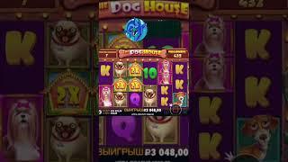 СЛОВИЛ 4 ЛАПЫ В DOG HOUSE MEGAWAYS!!#shorts #заносынедели #занос #промокод #слоты #рекомендации