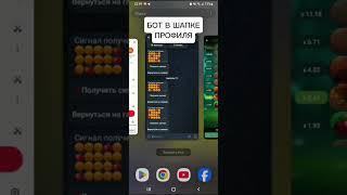Как работает сигнальный бот Apple of fortune  #appleoffortune #1xbet #1xgames