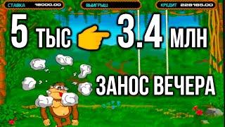 5тыс  