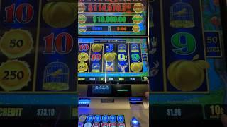 10k Maxed Out MAJOR can we land it? #slots #casino #jackpot #fypシ゚viral