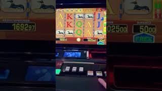 50€ Einsatz Eye of Horus #Casino  #Glücksspiel #Spielautomaten #Gamble #spielbank