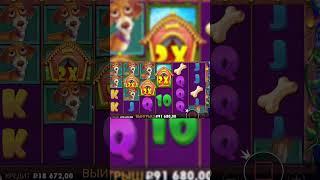 ПОЙМАЛ ЗАНОС в The Dog House  #slot  #бонусыказино  #casino #thedoghouse  #4wildzeusvshades #бонусы