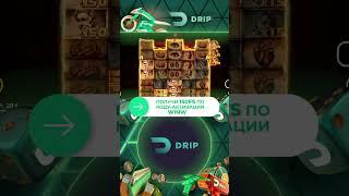 Топ занос в DRIP | DRIP OFFICIAL CASINO