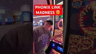 PHONIX LINK MADNESS 