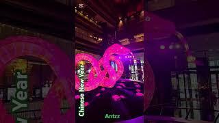 Chinese New Year decorations  @ Crown Casino,  Melbourne,  Australia 