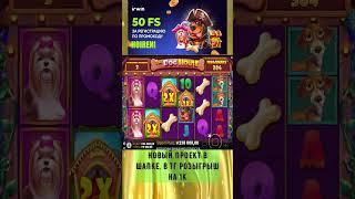неплохой иксик в догах с бонуски словил #irwin #промокод #zubarefff #buster #casino #games #jackpot