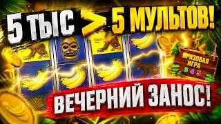 5 тыс 
