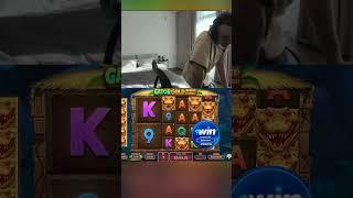Заносы недели в Gator gold игрок Нави словил вейс топов #казино #занос #слоты #shorts #melstroy