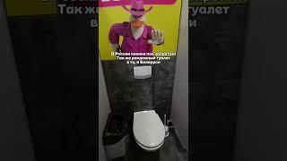 КАЗИНО В БЕЛАРУСИ | TikTok: malletvan