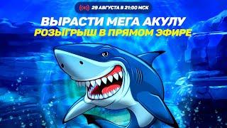 "Вырасти Мега Акулу"  - розыгрыш на 350 000 рублей.