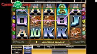 Счастливые моменты игры в казино Голдфишка.