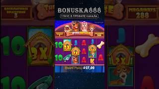 Словил Занос с 10 руб  DOG HOUSE x3000 #занос #выигрыш #слоты #казино