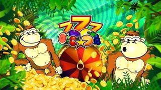CRAZY MONKEY ОБЕЗЬЯНКИ 
