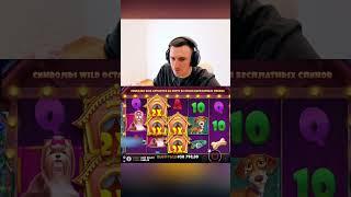 Заносы недели в Dog House игрок Нави словил много будок #казино #занос #слоты #shorts