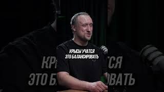 Казино для крыс
