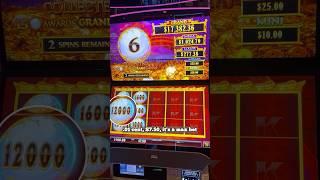 $7.50 MAX BET Bonus WIN on Lion Link Slot Machine!